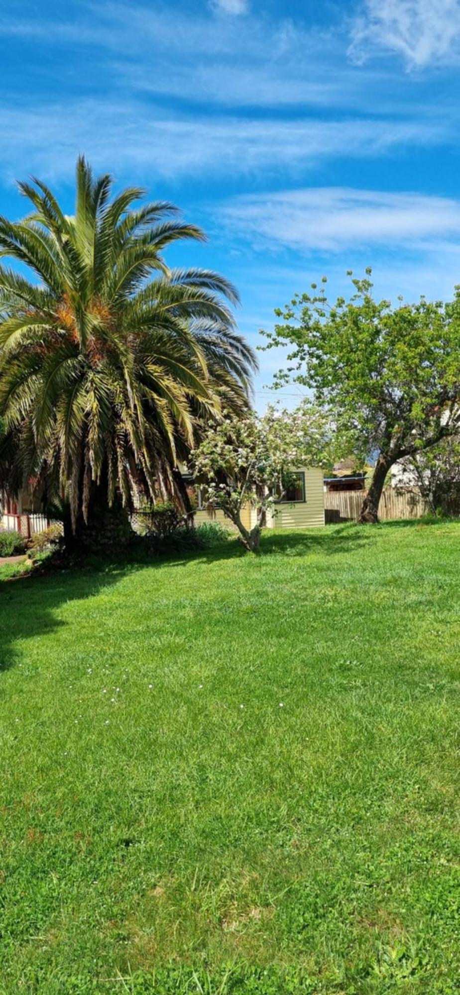 Belle Cottage Scottsdale Buitenkant foto