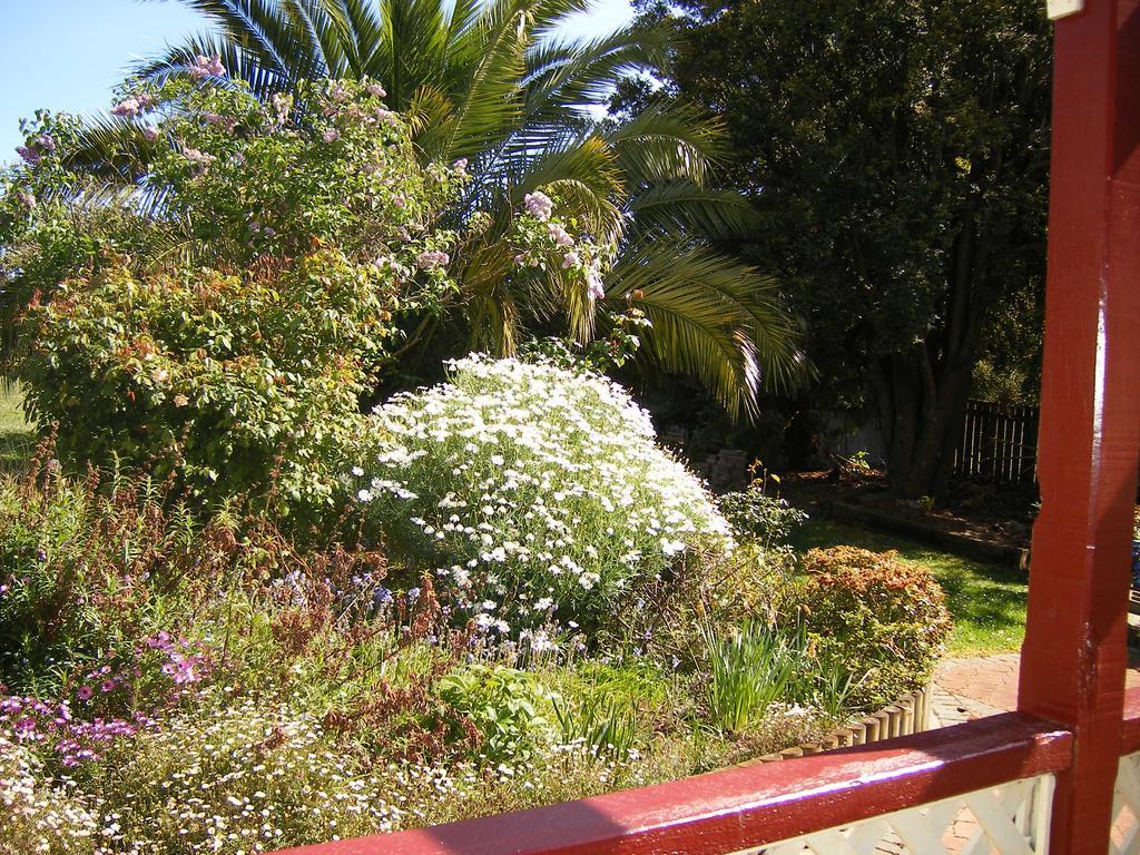 Belle Cottage Scottsdale Buitenkant foto